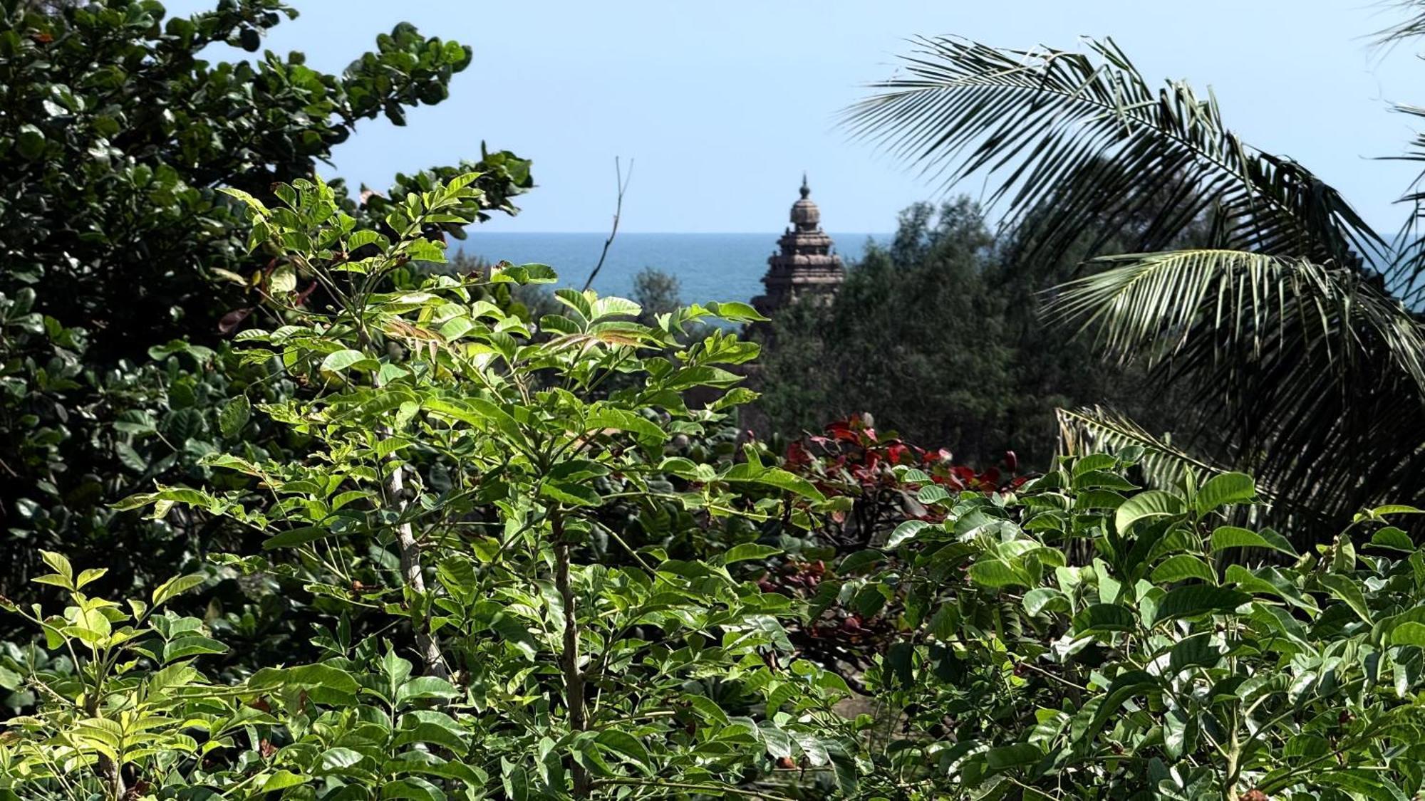Sri Murugan Beach Paradise Hotel Махабалипурам Екстериор снимка